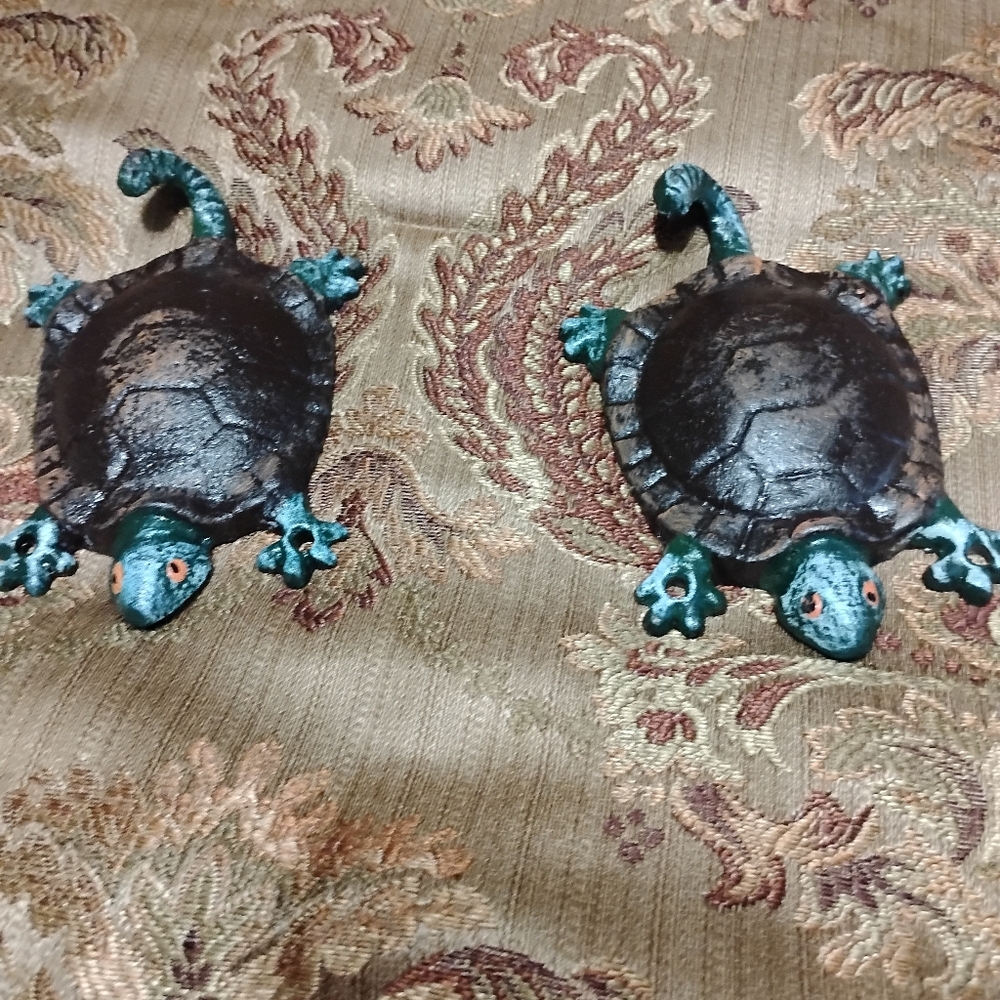Decorative Turtle Wall Decor